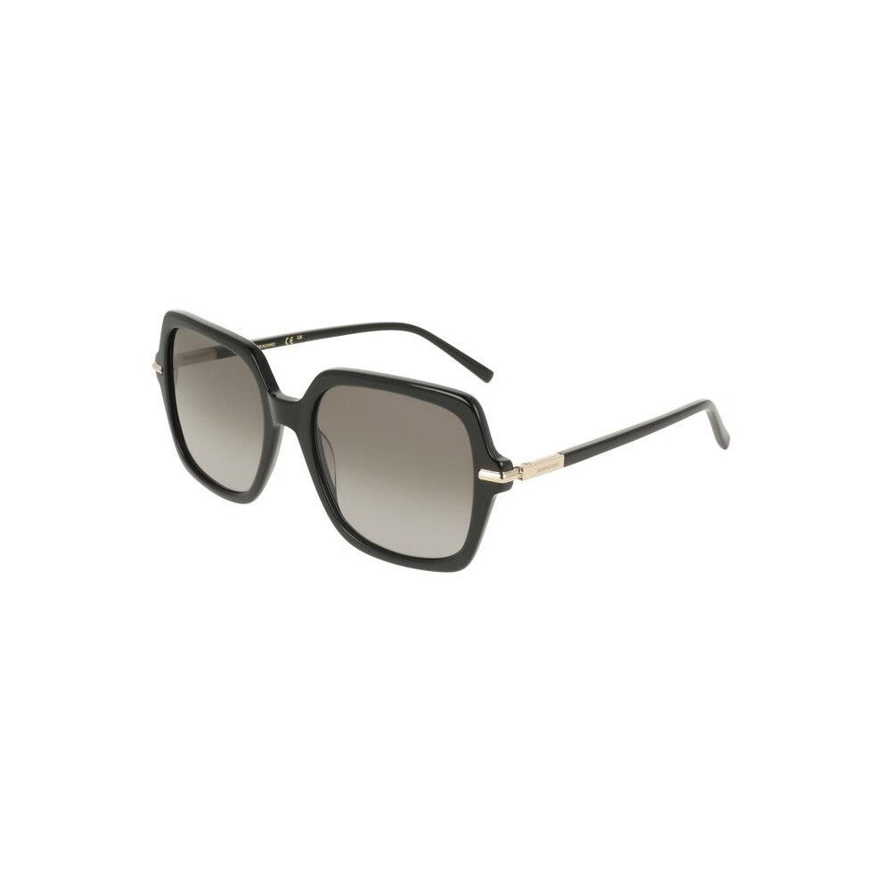 Ferragamo Sf2076s Sunglasses 57/19/145 Acetate Woman Sf2076s Black