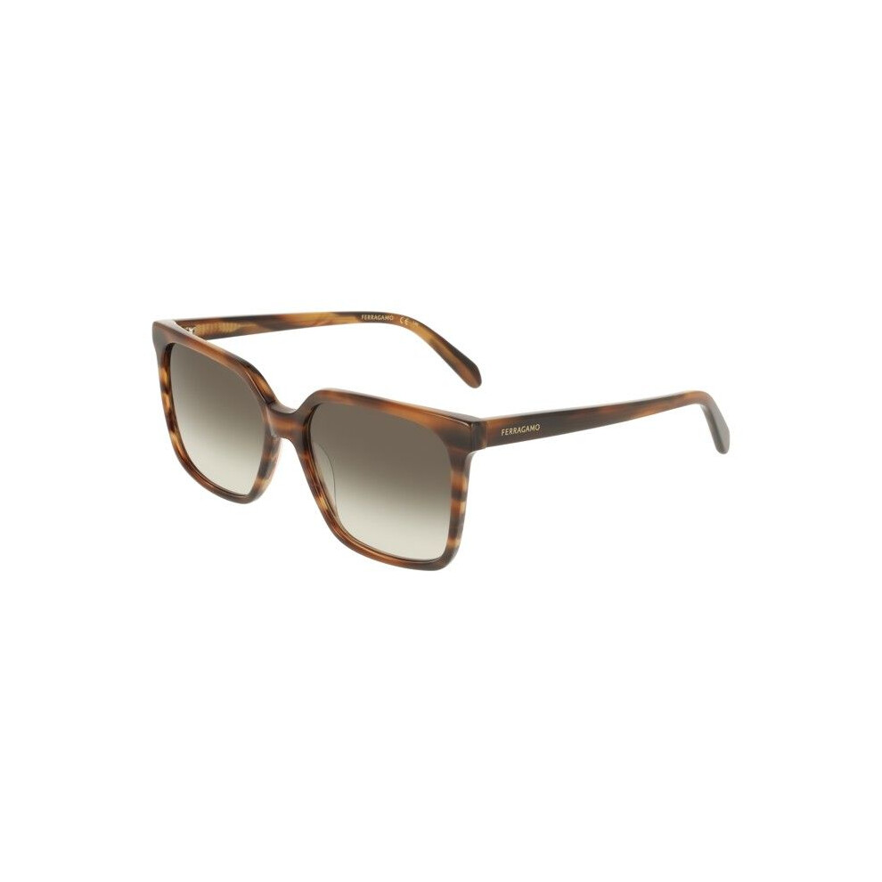 Ferragamo Sf2102s Sunglasses 57/16/145 Striped Acetate Woman Sf2102s Brown