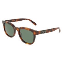 Sunglasses - FERRAGAMO - SF2107S - Acetate - Tortoise (Brown) - 54/21/145