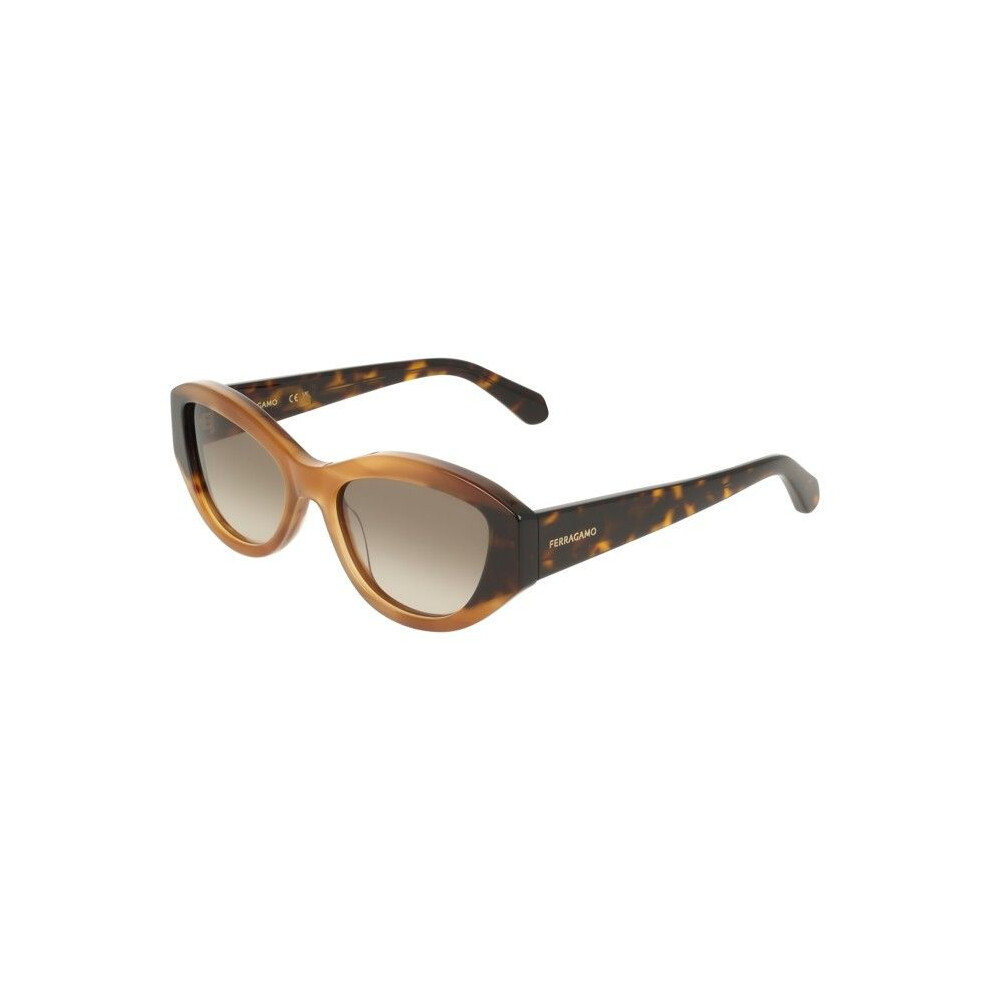 Ferragamo Sunglasses - Sf2104s - Acetate - Honey Horn/Dark Tortoise - 55/18/145