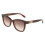 Ferragamo Sunglasses - FERRAGAMO - SF2108S - Acetate - Square - 54/19/145 1