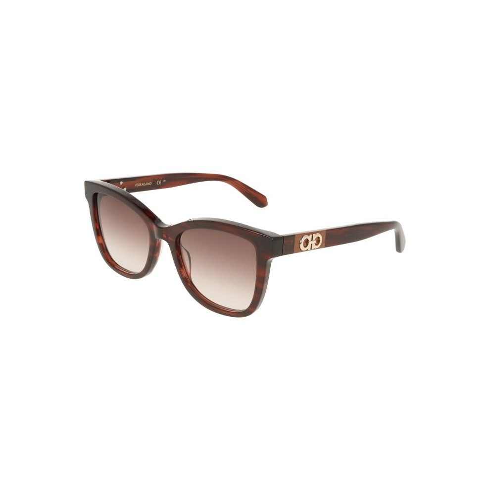 Ferragamo Sunglasses - Sf2108s - Acetate - Square - 54/19/145