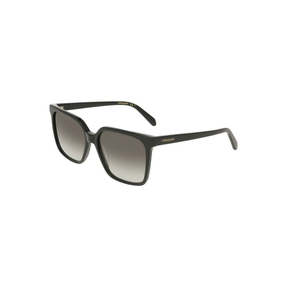 Ferragamo Sf2102s Sunglasses 57/16/145 Acetate Woman Sf2102s Black
