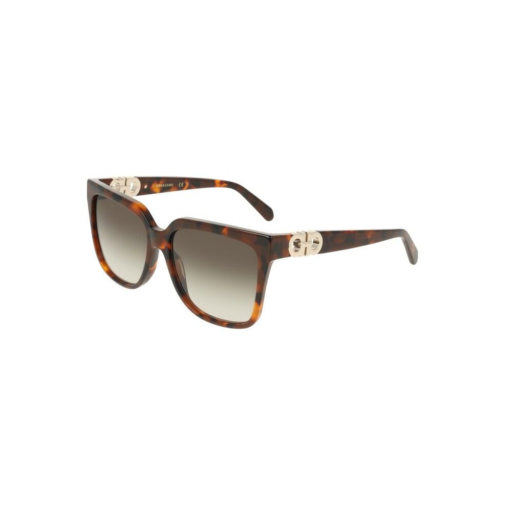 Ferragamo Sf2109s Sunglasses 58/16/145 Tortoise Acetate Woman Sf2109s