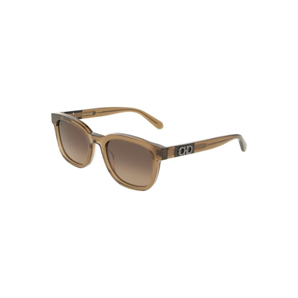 Ferragamo Sunglasses - Sf2107s - Transparent Brown - Acetate - 54/21/145