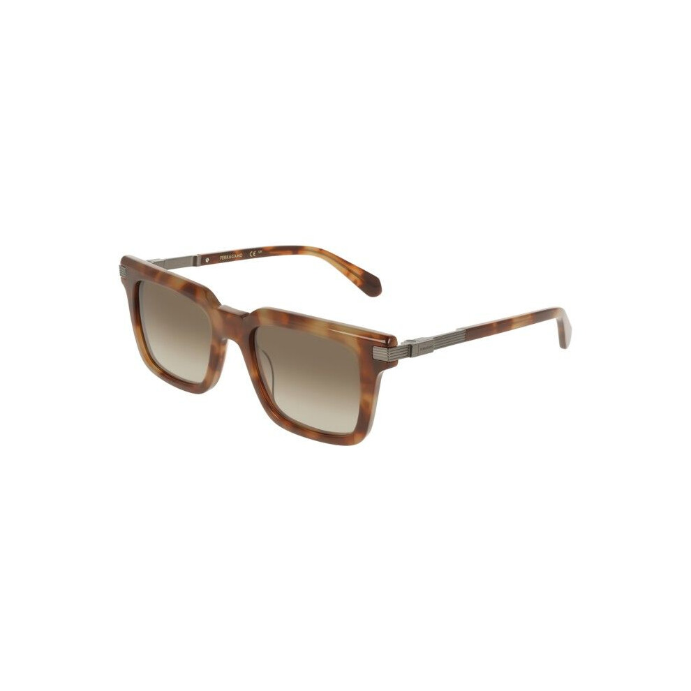 Ferragamo Sf2103s Sunglasses 53/21/145 Milky Tortoise Acetate Man Sf2103s Brown