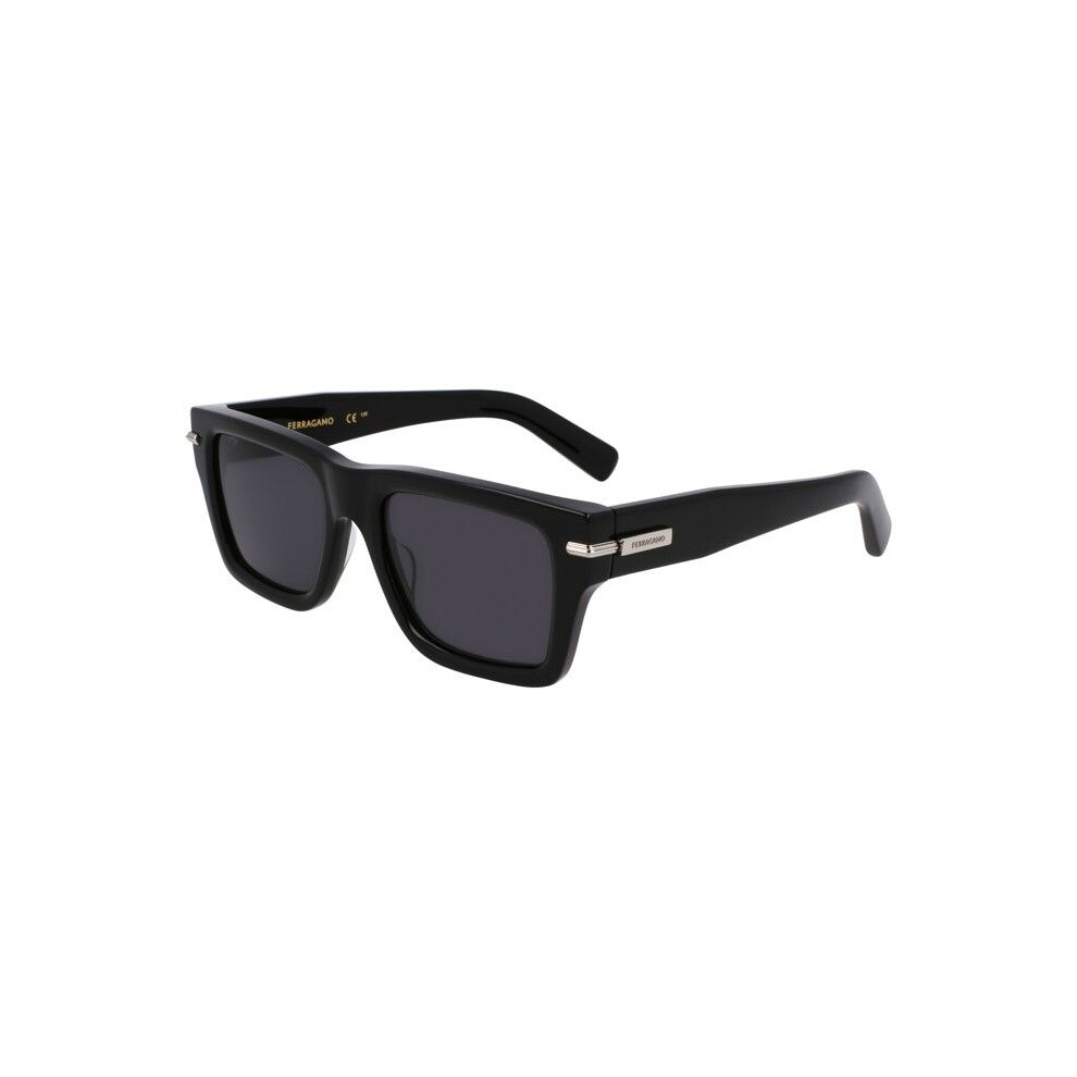 Ferragamo Sf2033s Sunglasses 53/20/145 Acetate Man Sf2033s Black