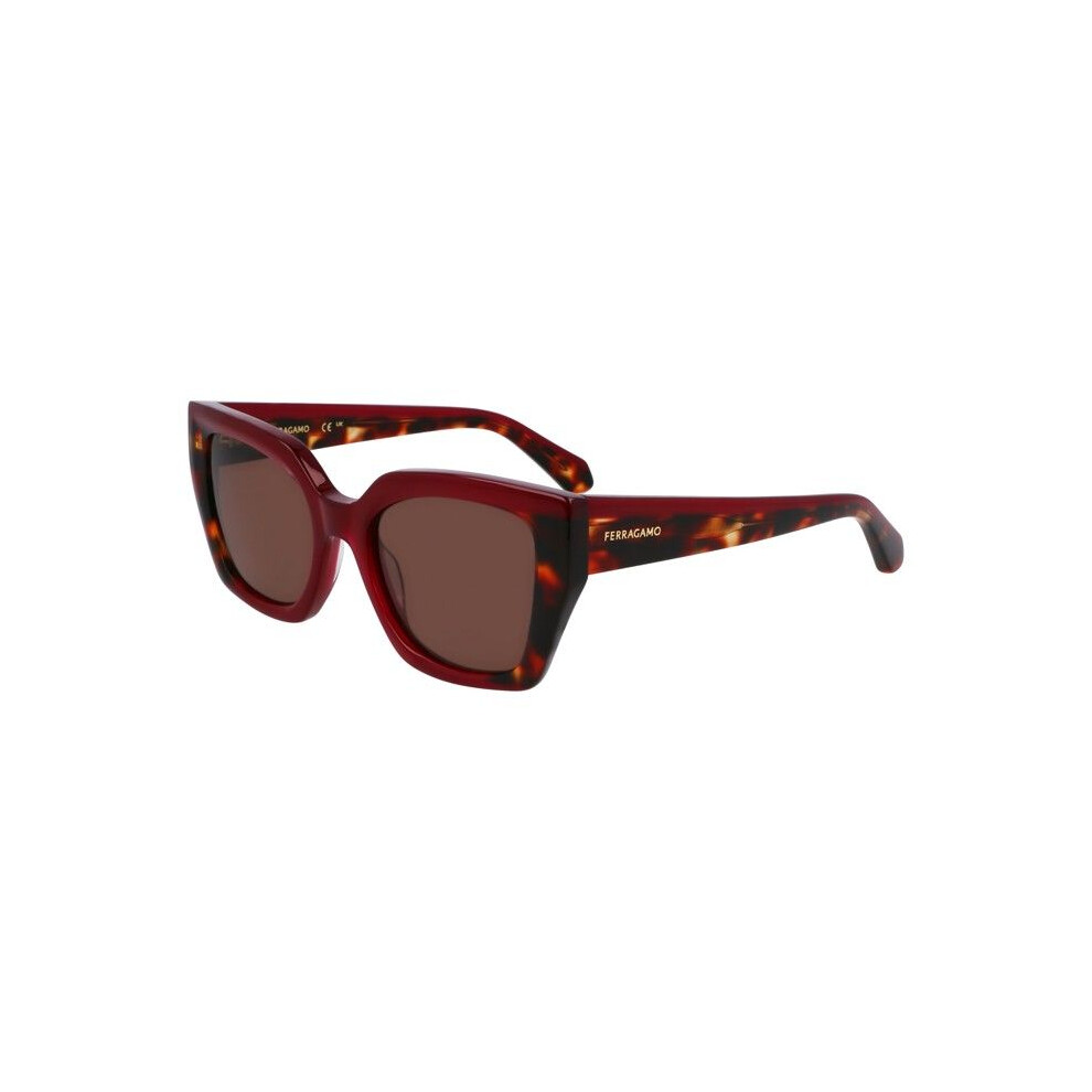 Ferragamo Sunglasses - Sf2035s - Acetate - Butterfly - 52/19/145