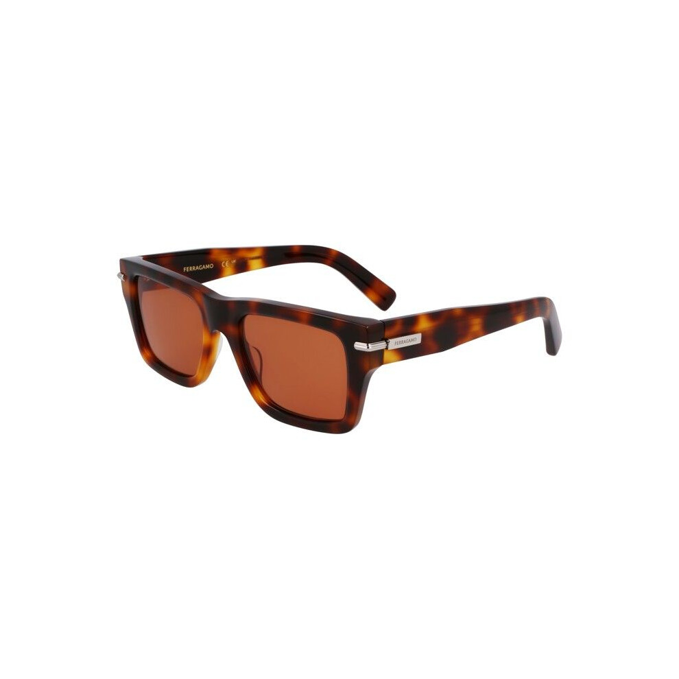 Ferragamo Sf2033s Sunglasses 53/20/145 Tortoise Acetate Man Sf2033s