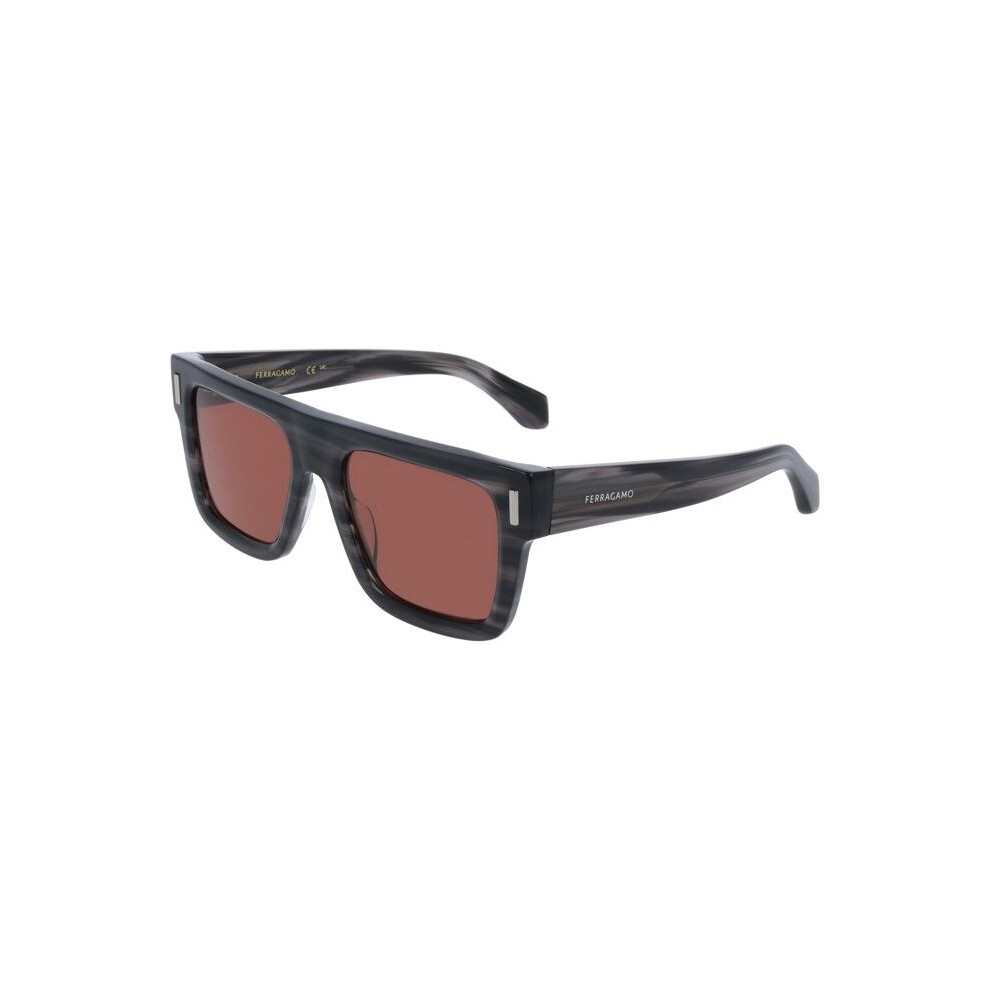 Ferragamo Sf2063se Sunglasses 53/19/145 Striped Rec Acetate-Renew Man Sf2063se Grey