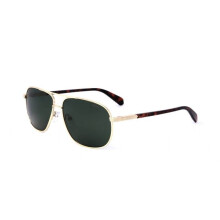 Sunglasses - POLAROID - PLD 2074-S-X GOLD (J5G UC) - Wayfarer - Gold metal frame - Gray lenses cat.3