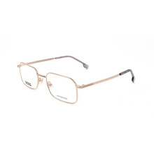 Hugo Boss BOSS 1604 53/19/145 Gouden RVS MAN BOSS 1604