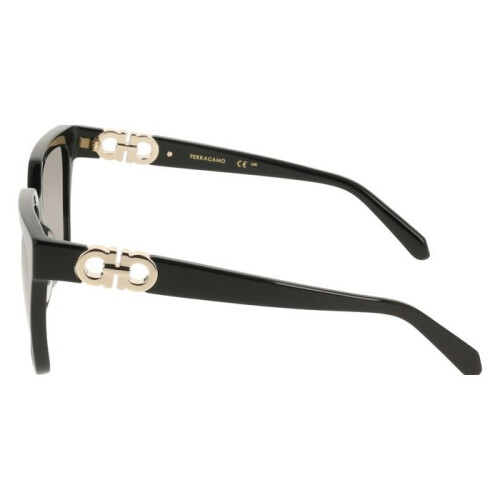 Ferragamo Sunglasses - FERRAGAMO - SF2109S - Black - Acetate - Square 2