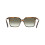 Ferragamo Ferragamo SF2102S Sunglasses 57/16/145 Striped Brown Acetate WOMAN SF2102S 4