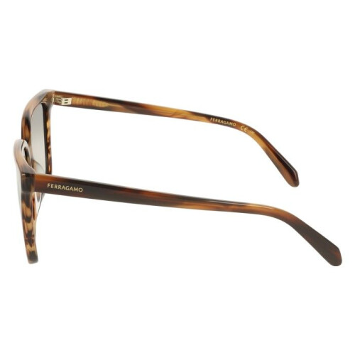 Ferragamo Ferragamo SF2102S Sunglasses 57/16/145 Striped Brown Acetate WOMAN SF2102S 2