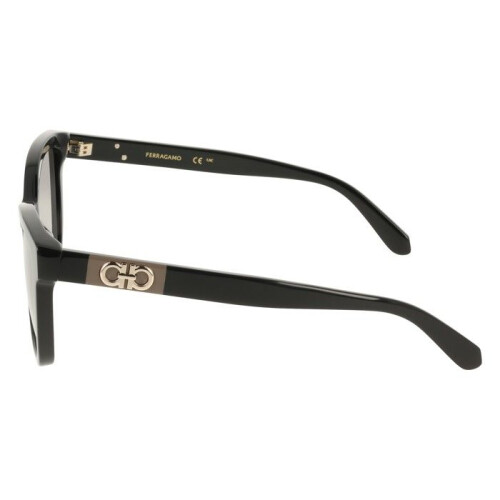 Ferragamo Ferragamo SF2108S Sunglasses 54/19/145 Black Acetate WOMAN SF2108S 2
