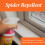 Zero In Spider Repellent 500ml RTU Mint Spray Pack 6 4