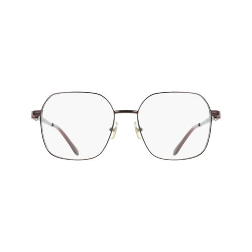 Ferragamo Ferragamo SF2239 55/17/140 Wijn Metaal VROUW SF2239 1