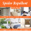 Zero In Spider Repellent 500ml RTU Mint Spray Pack 6 9