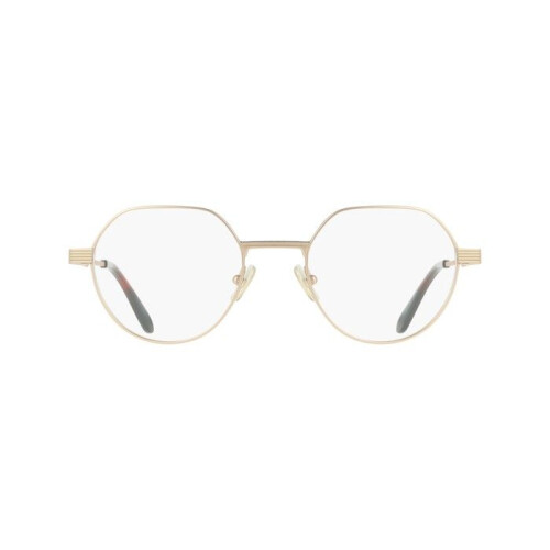 Ferragamo Bril - FERRAGAMO - SF2605 - Titanium - Matte goud - 51/21/145 1
