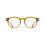 Ferragamo Ferragamo SF3045 50/20/150 Transparant bruin Acetaat MAN SF3045 2