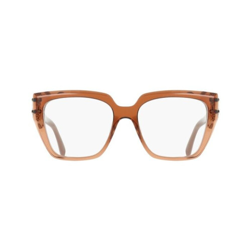Ferragamo Ferragamo SF3041E 53/16/140 Transparant karamel Rec acetaat-renew VROUW SF3041E 1