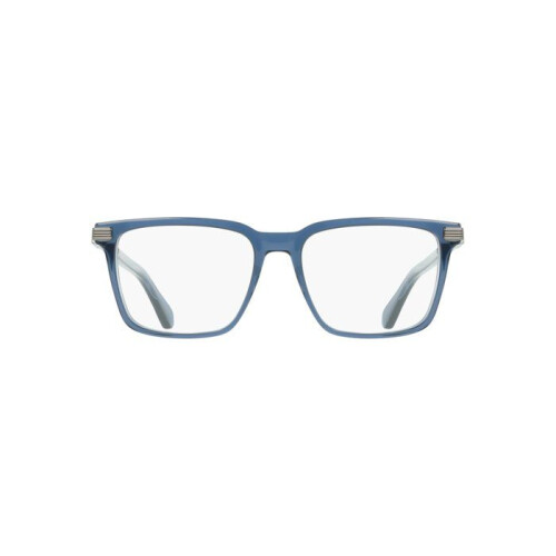 Ferragamo Ferragamo SF3065 55/16/145 Transparant avio Acetaat MAN SF3065 1