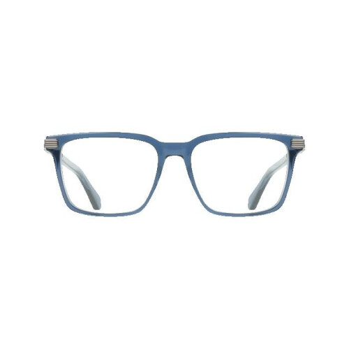 Ferragamo Ferragamo SF3065 55/16/145 Transparant avio Acetaat MAN SF3065 2