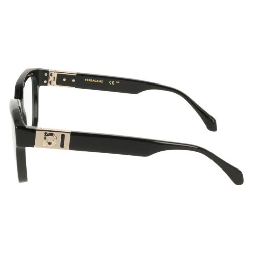 Ferragamo Ferragamo SF3040 52/19/140 Mustat Asetaatti Naisille SF3040 2