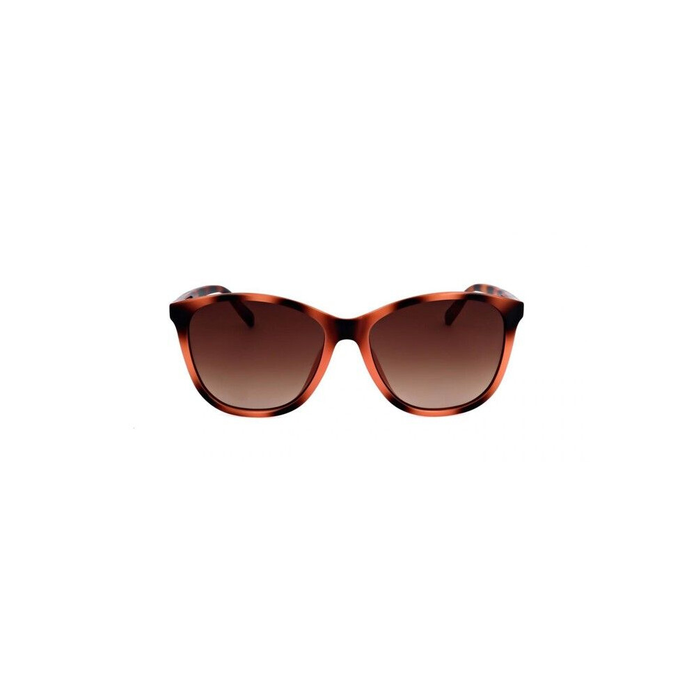Ted Baker Tb1646 Sunglasses 58/17/150 Gloss Classic Tort Tr90 Woman Tb1646