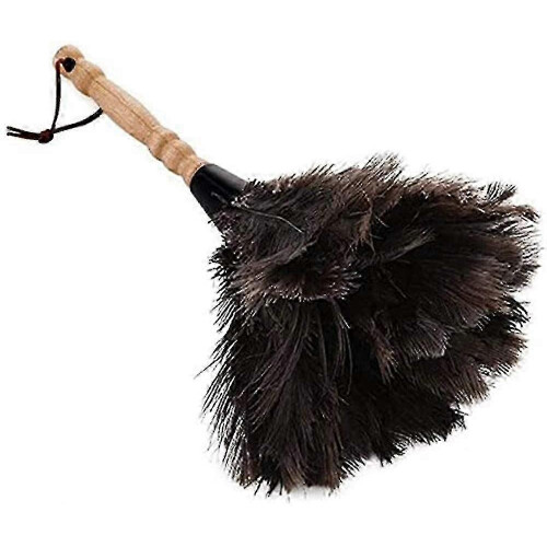 Natural feather duster for dusting delicate surfaces ostrich