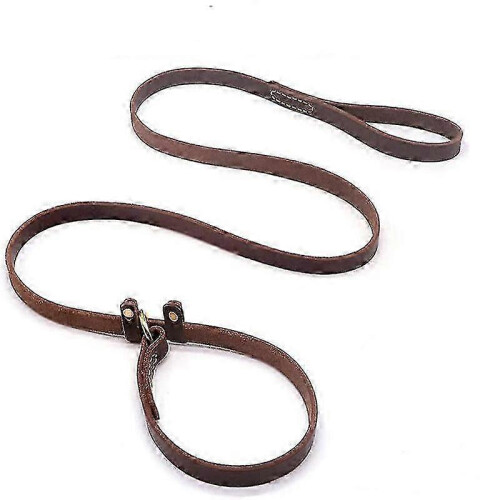 Correa resistente para perros con correa de cuero cosida.