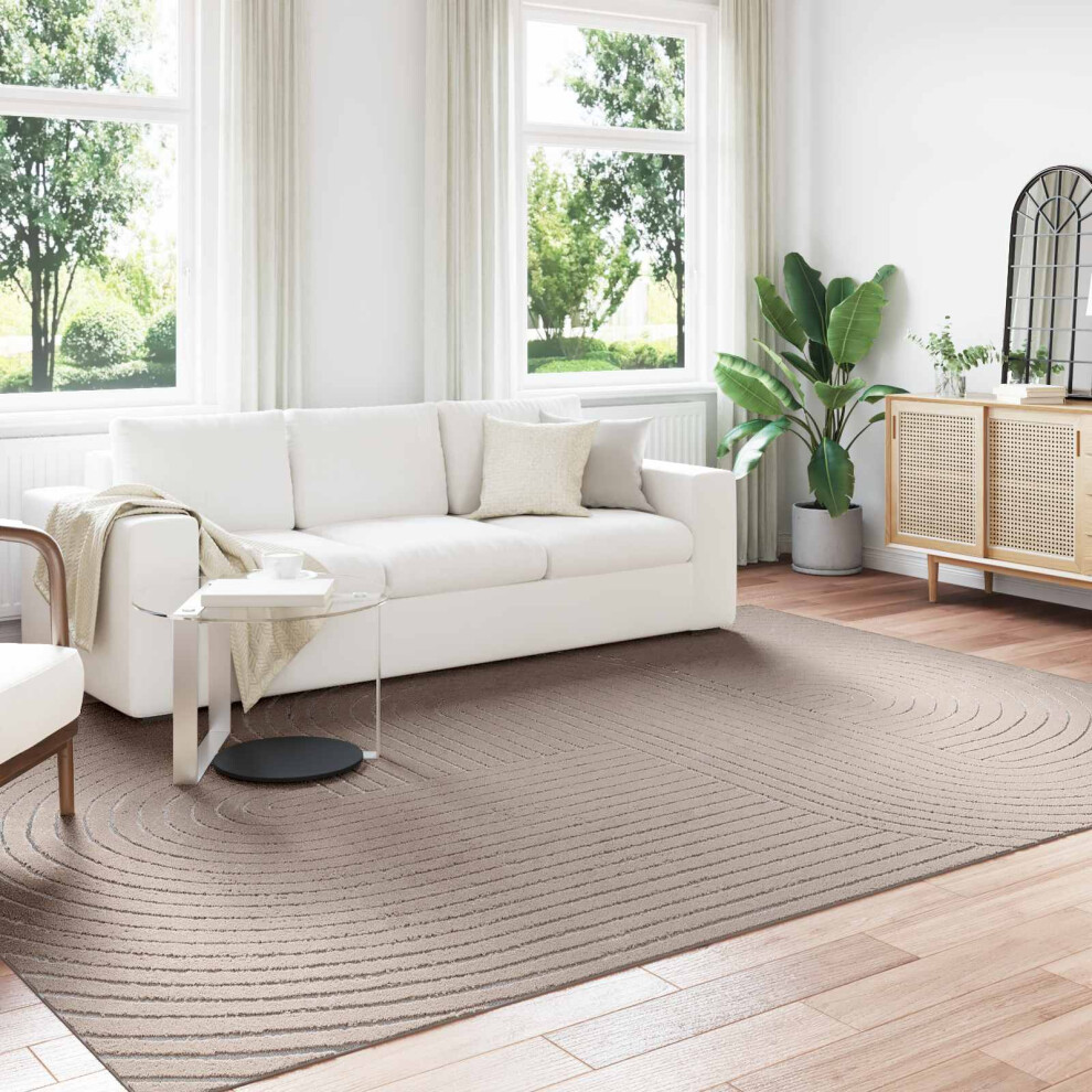 Vidaxl Area Rugs Rectangular Palmeras Beige 340 X 240 Cm Polyester