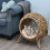 Cama de vime para gatos com pés elevados e almofada, cor natural. 8