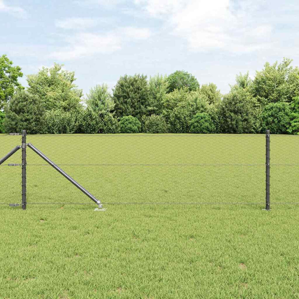 Vidaxl Welded Wire Fence With Spikes 100 X 0.6 M (W X H)