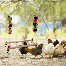 Chicken Swing Wooden Chicken Toys Hanging, Chicken Swing Wooden Colorful Chicken Toys for Hens Bird Trainning
