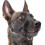Dog muzzle for XL breeds, anti-bite nylon adjustable ring 1