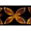 Amaco Potter's Choice Glasyr - Antik Koppar, PC-56, Pint 1