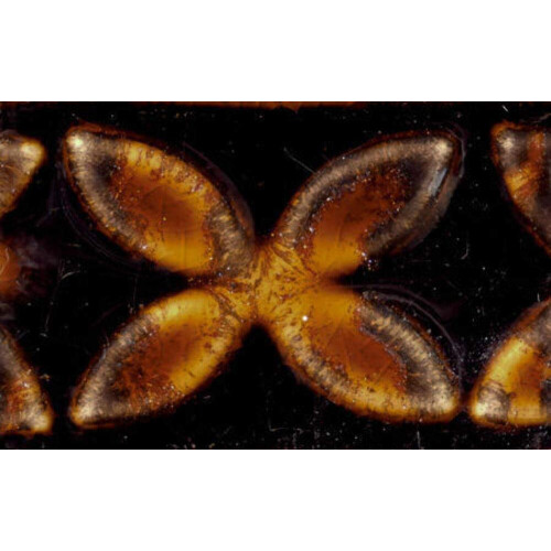 Amaco Potter's Choice Glasyr - Antik Koppar, PC-56, Pint