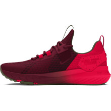 Under Armour Unisex Project Rock Rojo One Blood Sweat Respect 4, (625) Cardinal/Marine OD Green/Red, 11, US