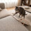 Actiaspet Lightweight Foldable Pet Stairs Beige 13