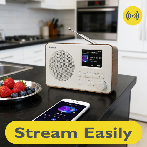 LEMEGA DR3-Max DAB+/FM Digital Radio,Bluetooth,2.4in Display,80 Presets 2