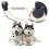 Dual dog leash with retractable mechanism for walking 2