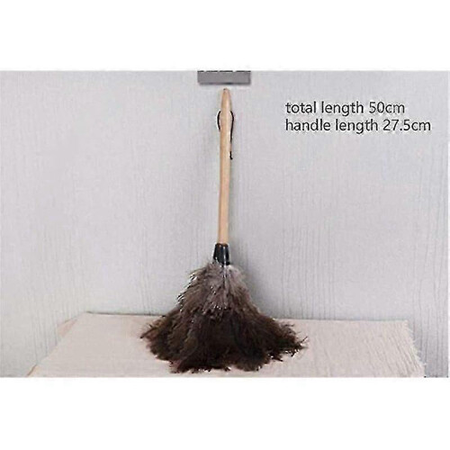 Natural feather duster for dusting delicate surfaces ostrich 1
