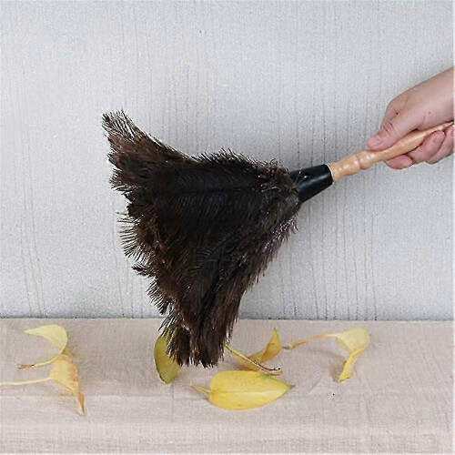 Natural feather duster for dusting delicate surfaces ostrich 2