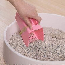 Cat Litter Shovel Shovel Shovel Shovel Shovel Shovel Shovel Cat Shovel Cat Shovel Scoop Scoopers Cle