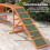 Pont d'agilité pour chiens avec surface antidérapante, orange 5