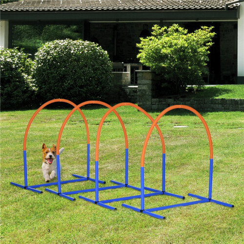 Koiran agility-harjoitussetti kantolaukulla, sininen 1