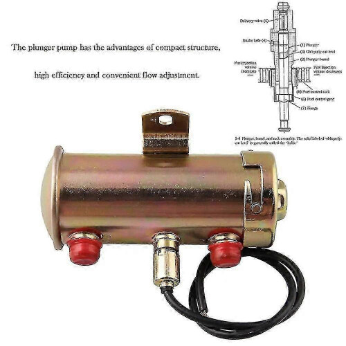 Pompe à carburant à haut débit pour essence/éthanol 12 V basse pression, type à facettes 2
