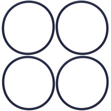 AppliaFit O-Ring für Pentair 350013, 350013z, kompatibel mit IntelliFlo, WhisperFlo, Challenger (4er-Pack)